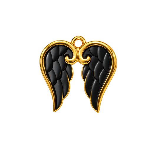 Ailes noires