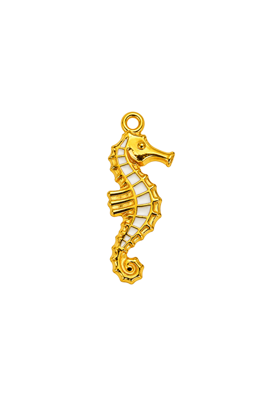 Hippocampe blanc