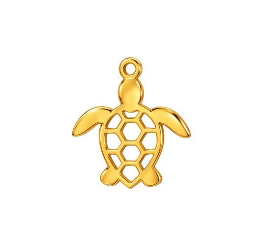 Tortue